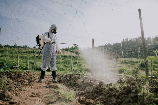Best Local Pest Control Services  in East Petersburg, PA