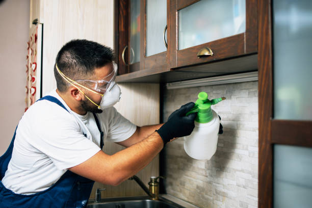 Pest Prevention Services in East Petersburg, PA
