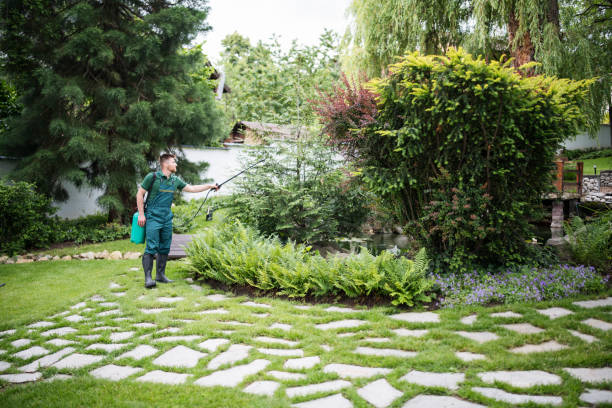 Best Best Pest Control Companies  in East Petersburg, PA