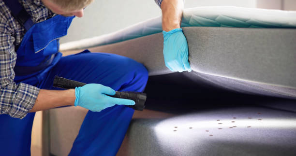 Professional Pest Control in East Petersburg, PA