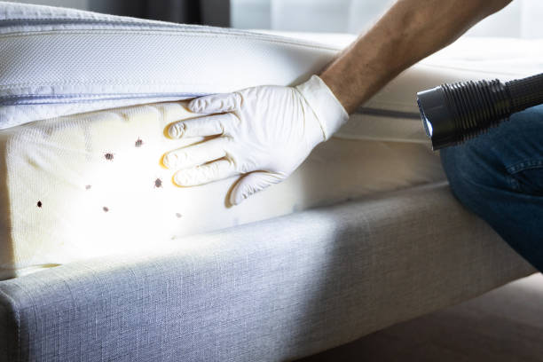 Best Pest Control Near Me  in East Petersburg, PA