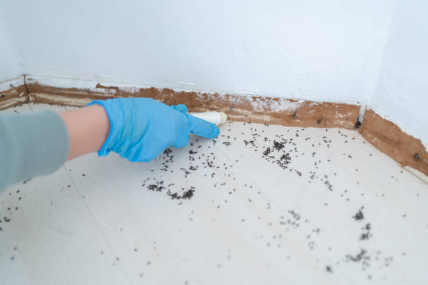 Best Pest Prevention Services  in East Petersburg, PA
